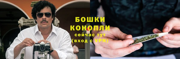 гашик Нефтекумск